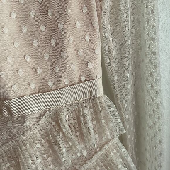 BCBGMAXAZRIA Pleated Tulle Mini Dress in Regal Champagne - Picture 8 of 16